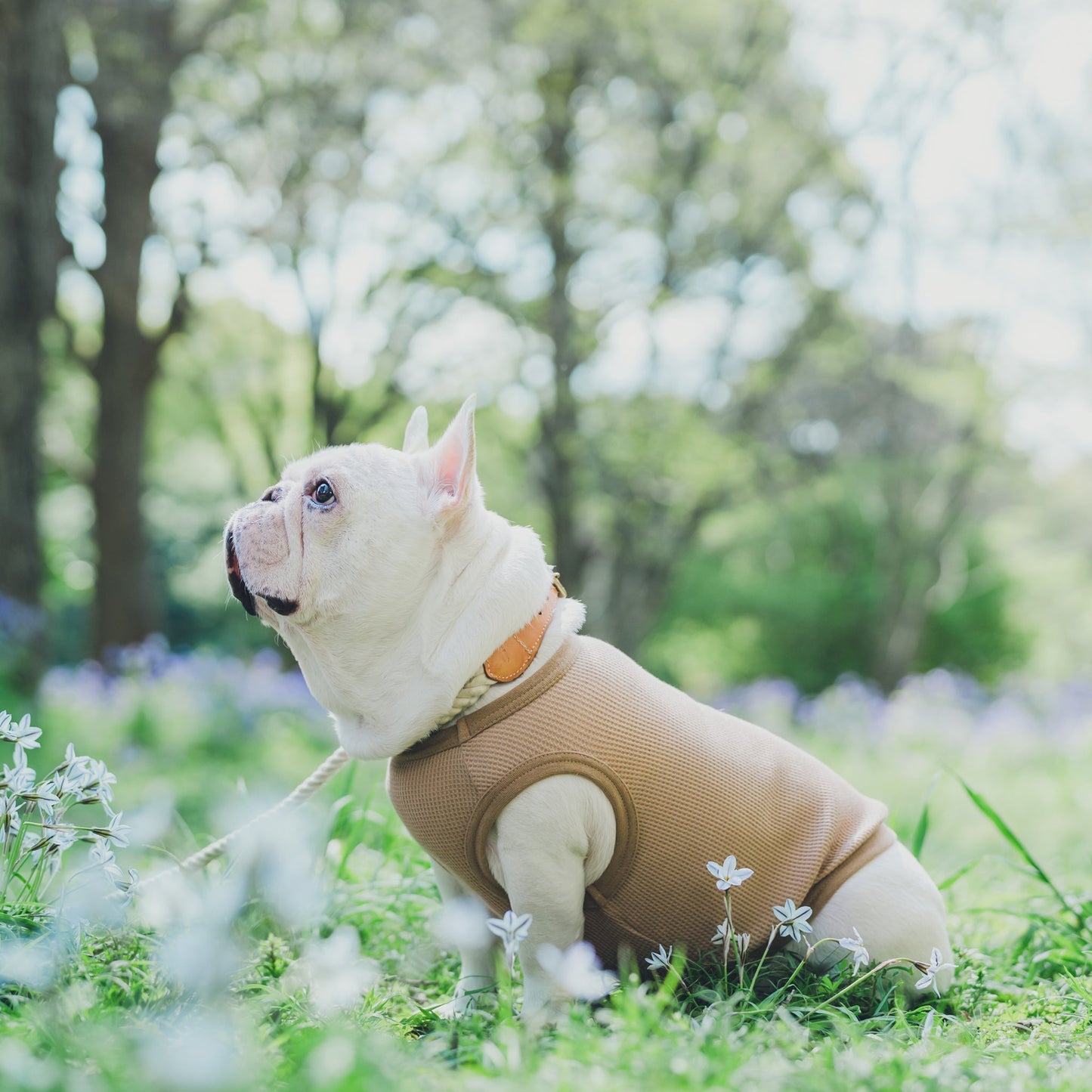 ワッフルタンク -モカ- - #andCharlie# - #アンドチャーリー#- #フレンチブルドッグ#- #フレブル#