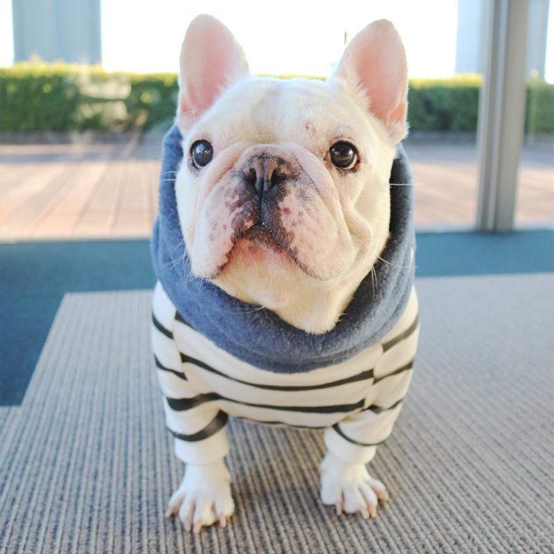 ネックウォーマー -スモーキーブルー- - #andCharlie# - #アンドチャーリー#- #フレンチブルドッグ#- #フレブル#