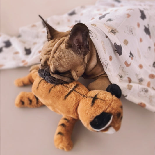 【imperfect】ガーゼケット｜オーガニックコットン ＆ バンブー –｜フレブル服andCharlie