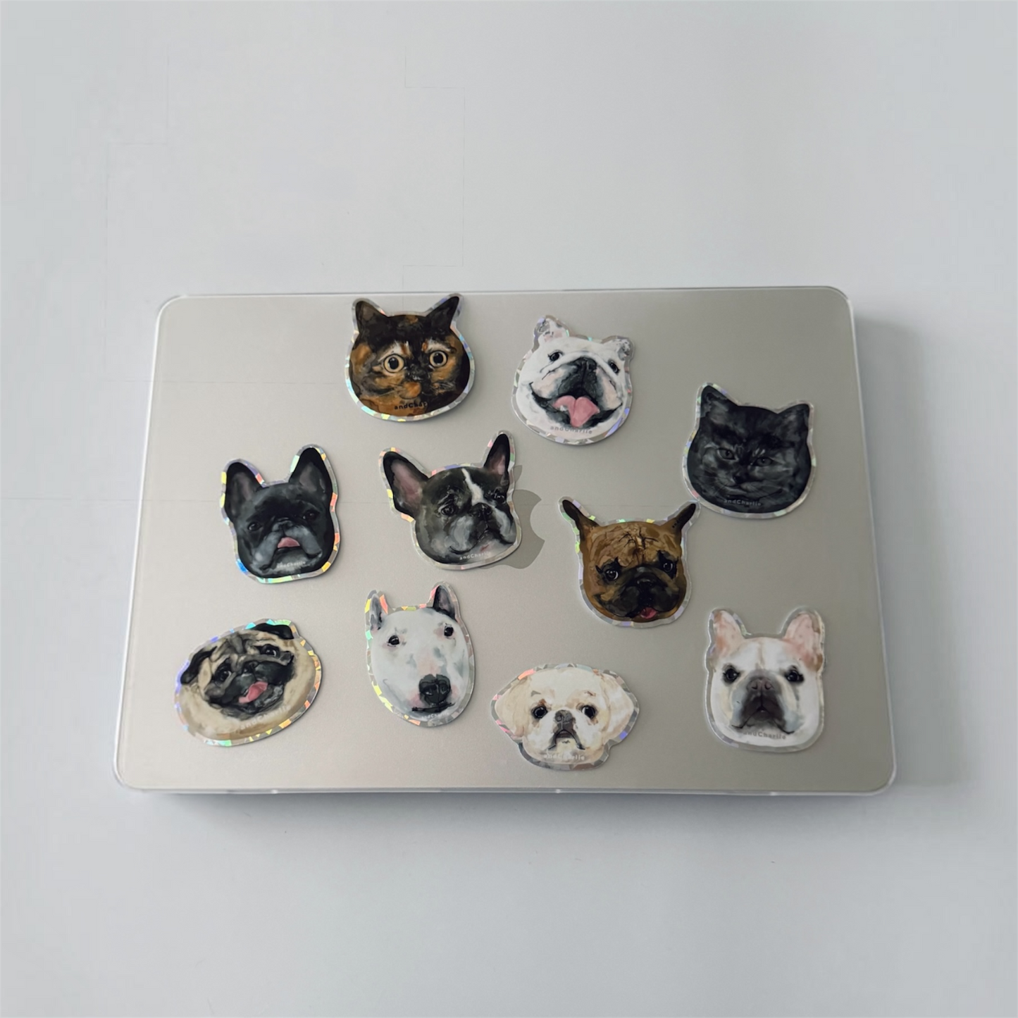 犬猫支援ステッカー