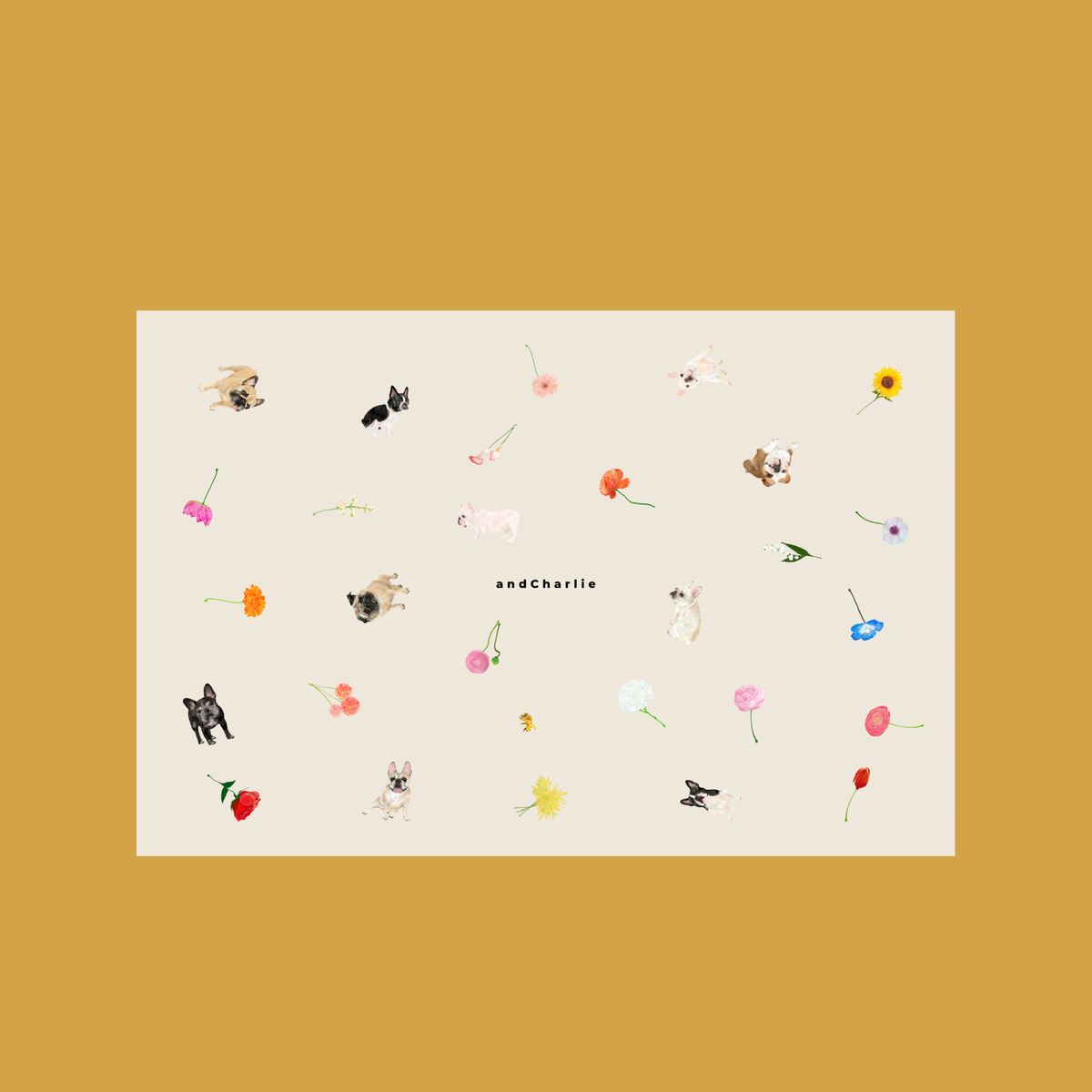 ベージュの長方形に、さまざまな姿勢のフレンチブルドッグと色とりどりの花のイラストを散りばめ、中央に黒い文字を配置したデザイン。