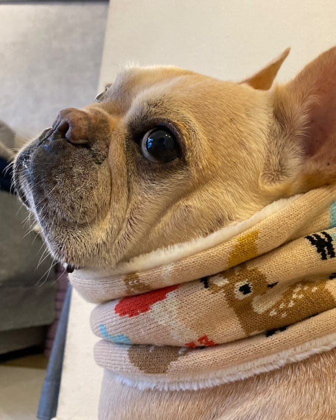 リチャードの着用写真 2