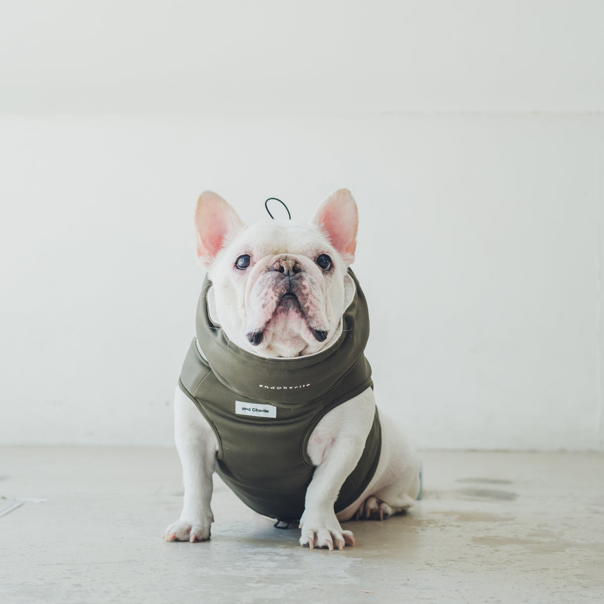 クールベスト - スミクロ -｜フレブル服andCharlie