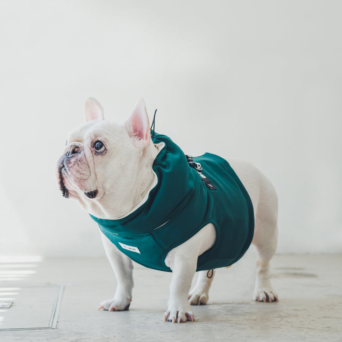 andCharlie クールベスト andcharlie-coolingvest-green-5