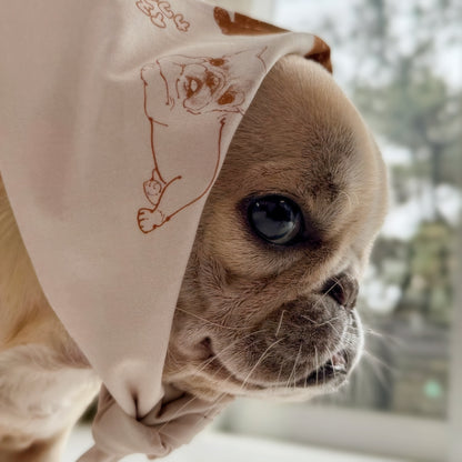 andcharlieのイヌカワイイバンダナをかぶったフレンチブルドッグの正面顔アップ