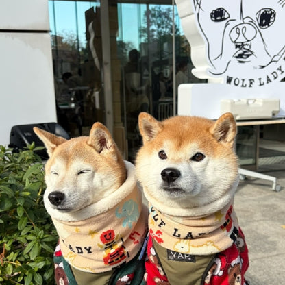 andCharlieとWOLF LADYコラボの絵本スヌード（ベージュ）を着用した2匹の柴犬。お揃いのリンクコーデ