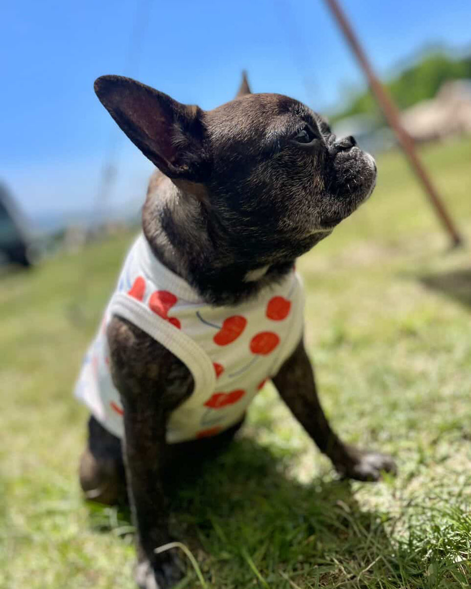 nico