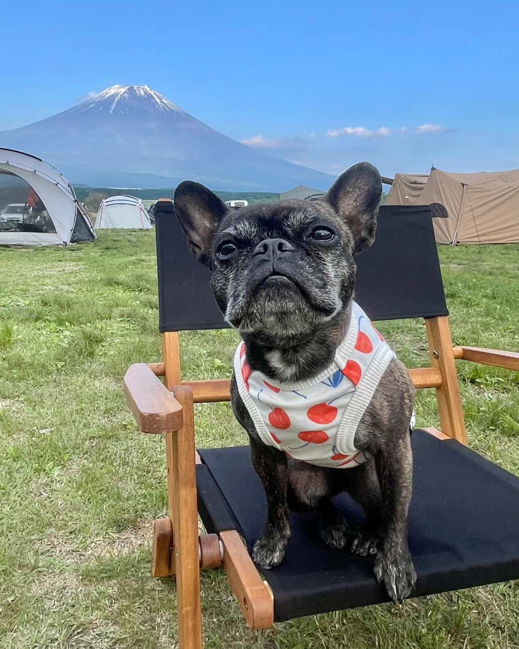 nicoの着用写真 9