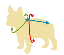 andCharlie 犬服のサイズ計測方法