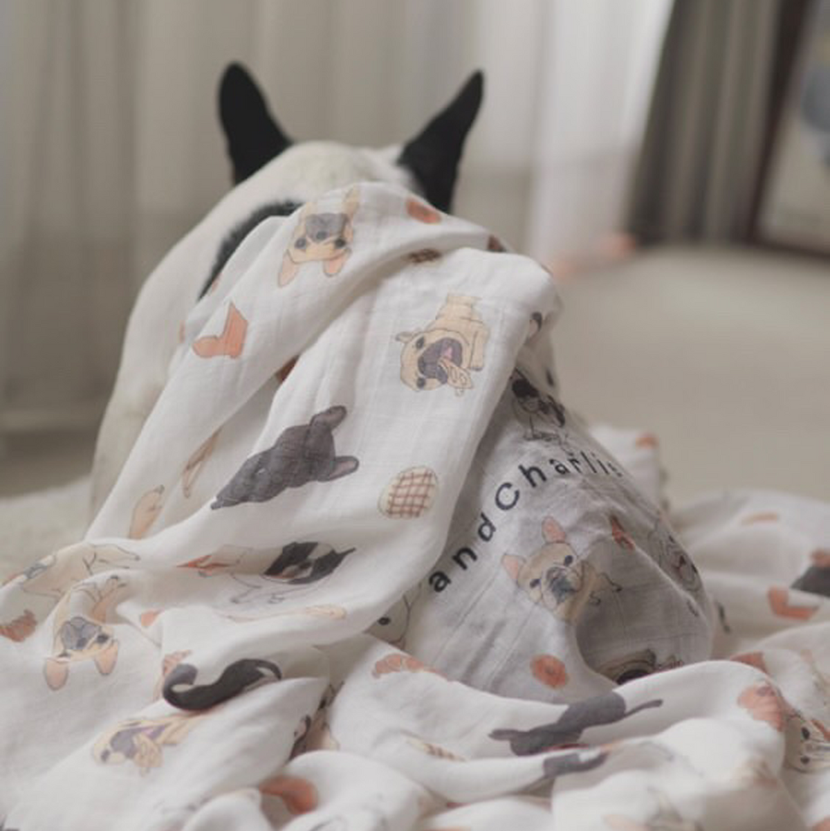 andCharlie ブランケット　未使用品 andCharlie ブランケット 未使用品 フレンチブルドッグなど短頭