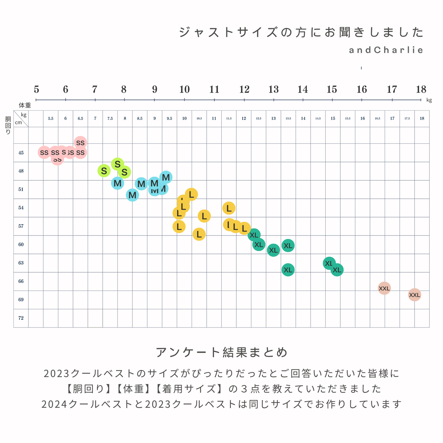 2024クールベスト - スチールブルー -