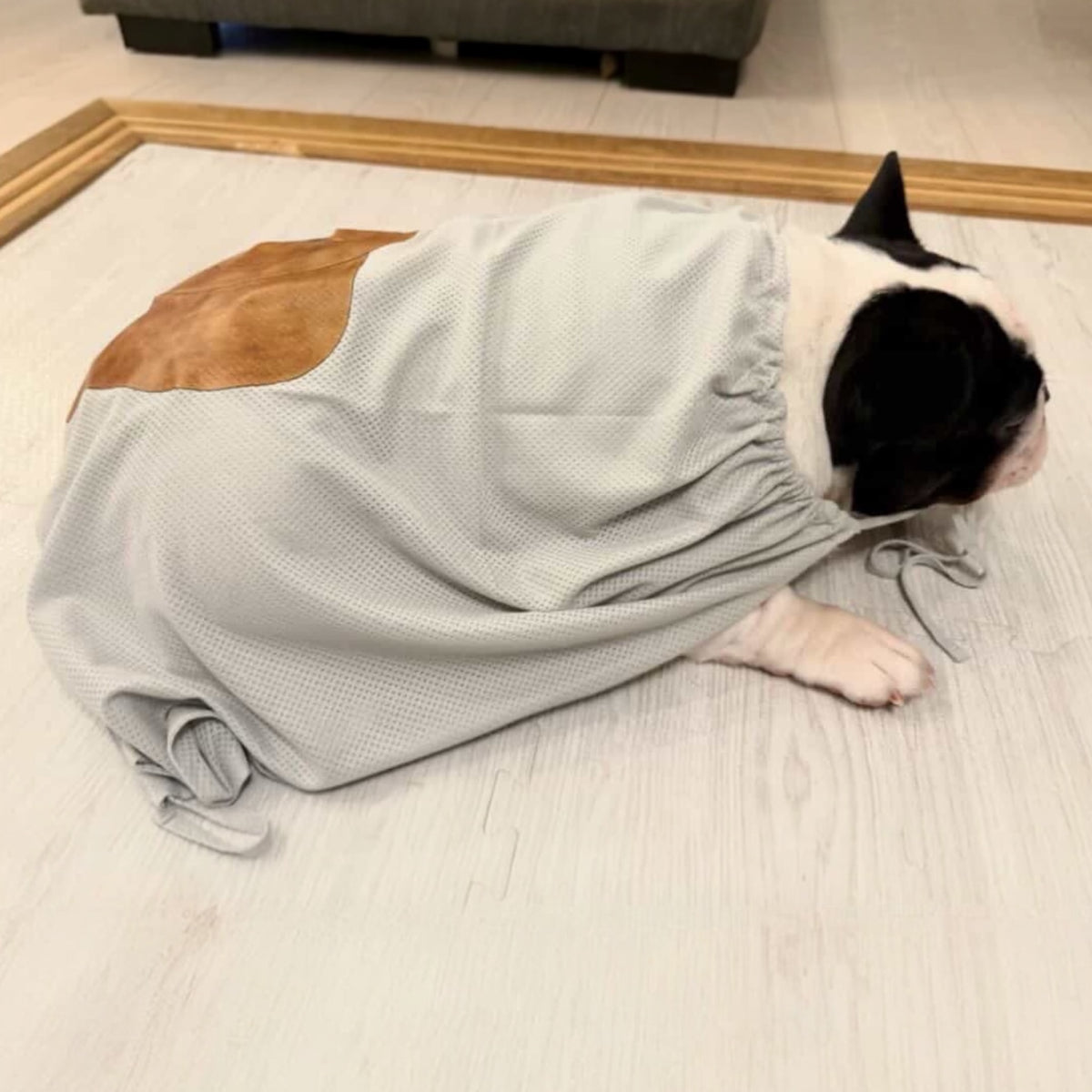 バビロンの着用写真 3