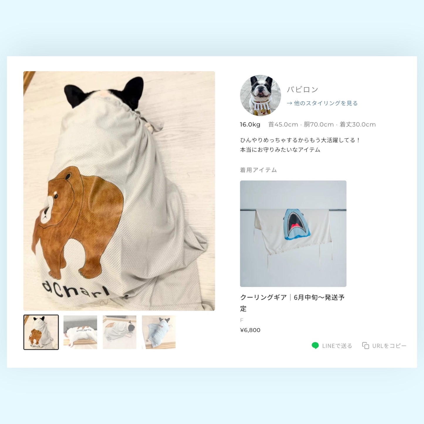 フレンチブルドッグ用冷感タオル バビロン（16kg）着用スタイリング詳細ページの表示イメージ｜andCharlie