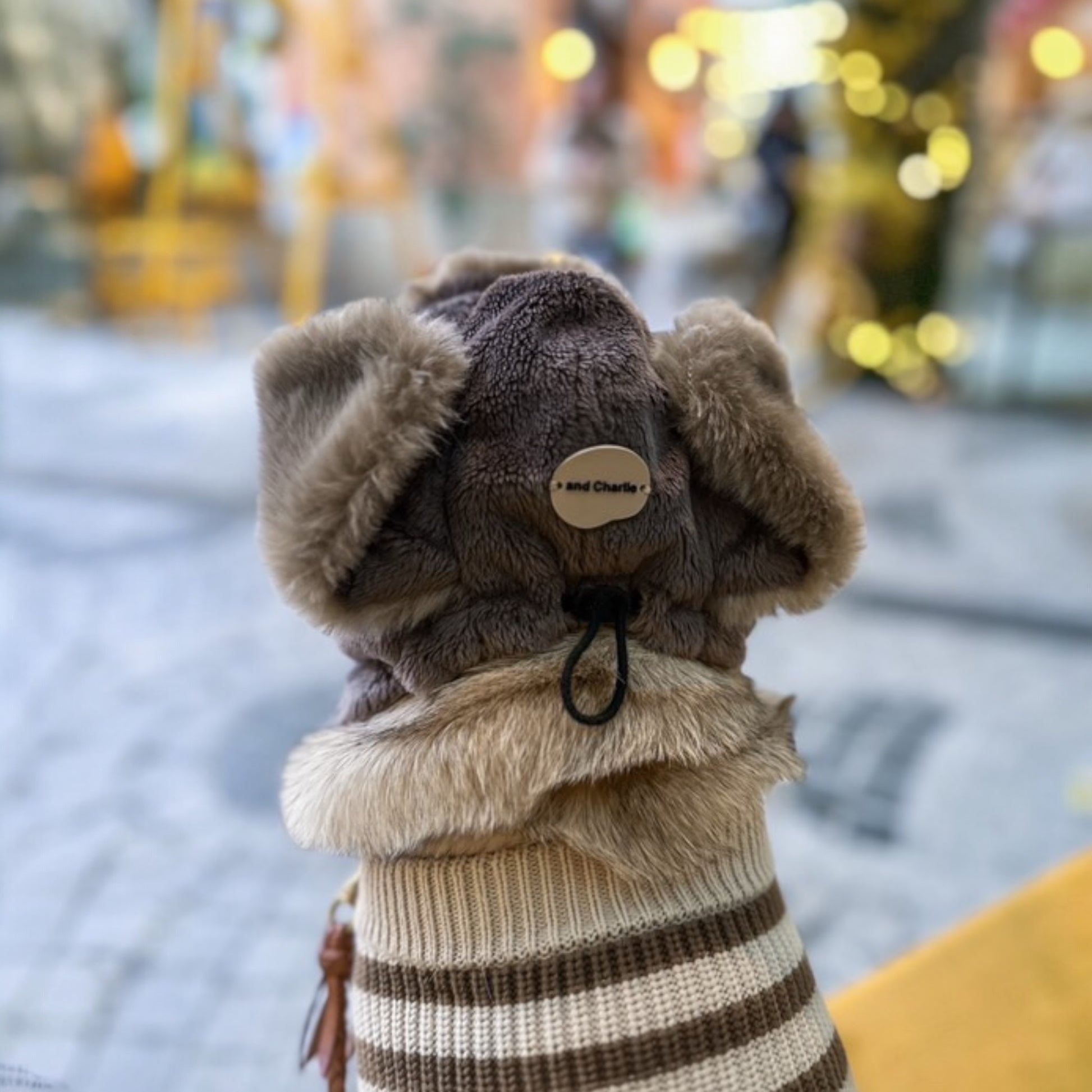 飛行帽を着用したフレンチブルドッグの後ろ姿｜お散歩コーデ