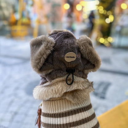 飛行帽を着用したフレンチブルドッグの後ろ姿｜お散歩コーデ