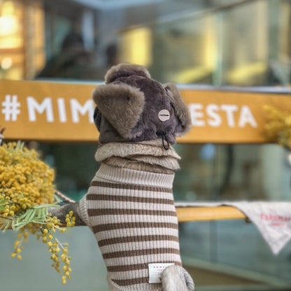 飛行帽を着用したフレンチブルドッグ｜ボーダーニットとのコーディネート