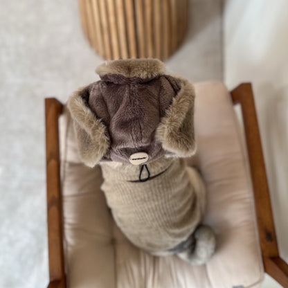 飛行帽を着用したフレンチブルドッグを上から｜フィット感