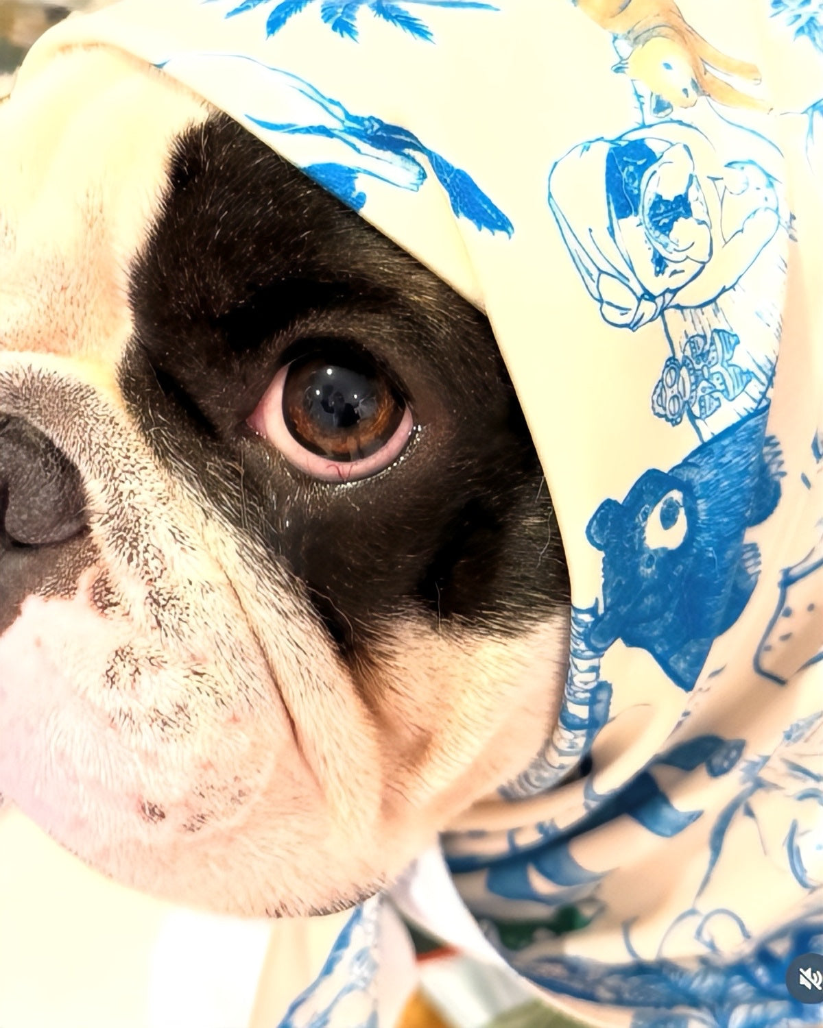 Sunshineの着用写真 2