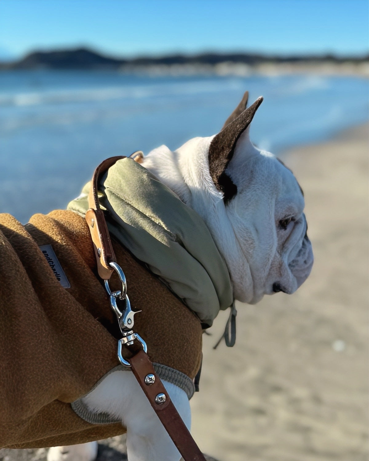 Sunshineの着用写真 2