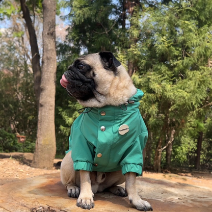 フレンチブルドッグ専用 撥水マウンテンパーカー(グリーン)|andCharlie フレンチブルドッグ専用 撥水マウンテンパーカー(グリーン)|andCharlie