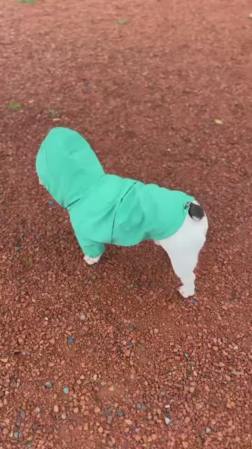 青緑色のフード付きの服を着た犬が、屋外で頭を下げて地面に鼻先を近づけ、体の向きを変える動画。