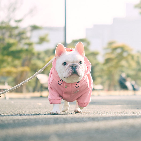 2022マウンテンパーカー -ピンク- - #andCharlie# - #アンドチャーリー#- #フレンチブルドッグ#- #フレブル#