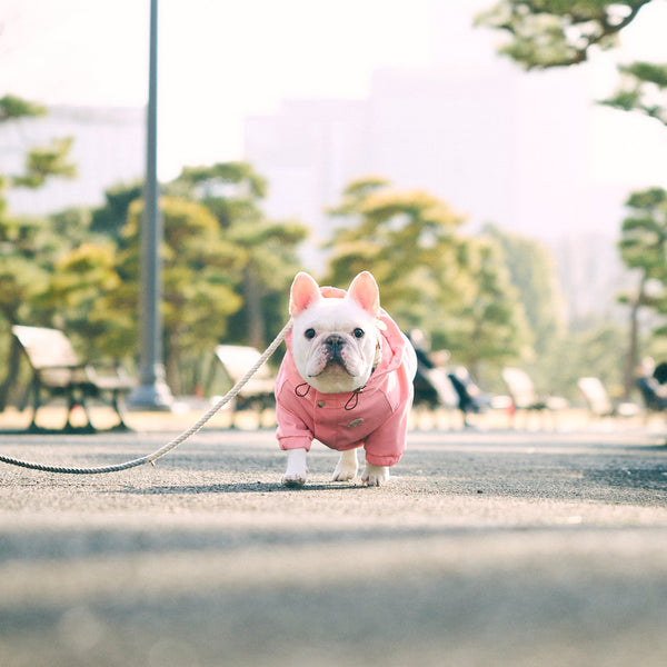 2022マウンテンパーカー -ピンク- - #andCharlie# - #アンドチャーリー#- #フレンチブルドッグ#- #フレブル#