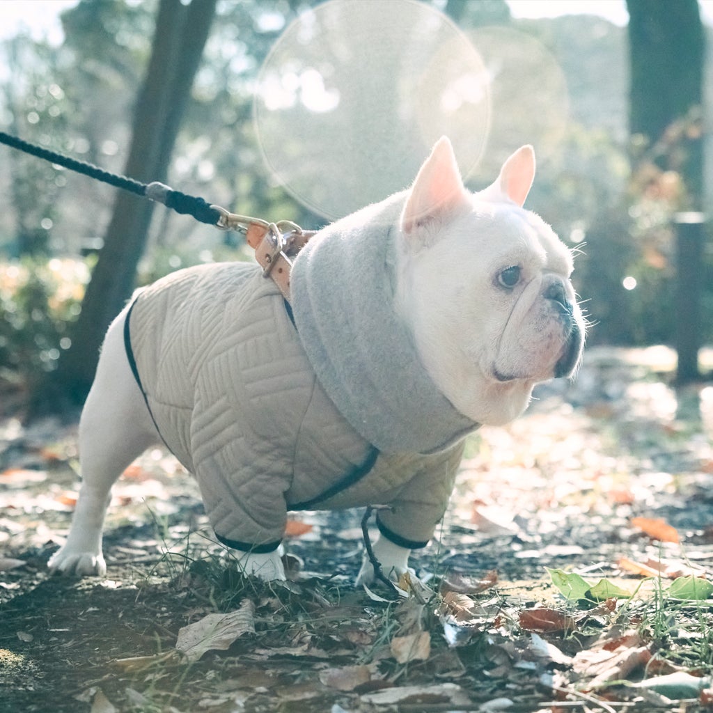 フレンチブルドッグ・ブルドッグの洋服通販の専門店 | andCharlie