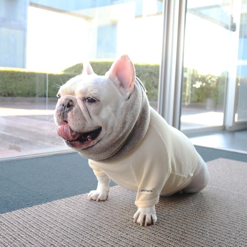 フレンチブルドッグ・ブルドッグの洋服通販の専門店 | andCharlie