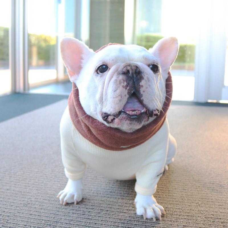 フレンチブルドッグ・ブルドッグの洋服通販の専門店 | andCharlie