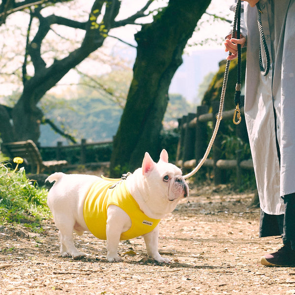 クールベスト -イエロー- - #andCharlie# - #アンドチャーリー#- #フレンチブルドッグ#- #フレブル#