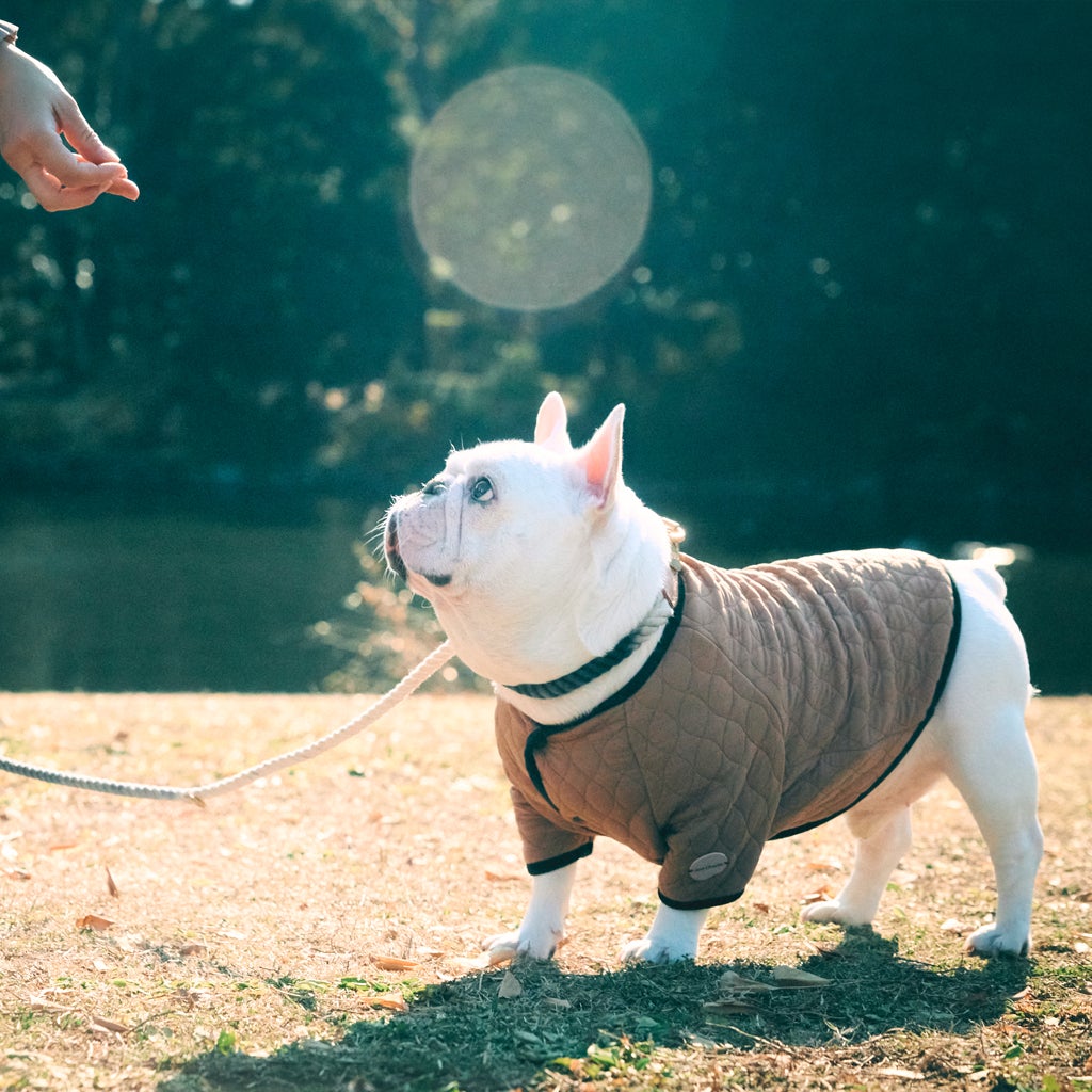 フレンチブルドッグ・ブルドッグの洋服通販の専門店 | andCharlie