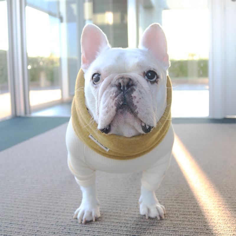 フレンチブルドッグ・ブルドッグの洋服通販の専門店 | andCharlie