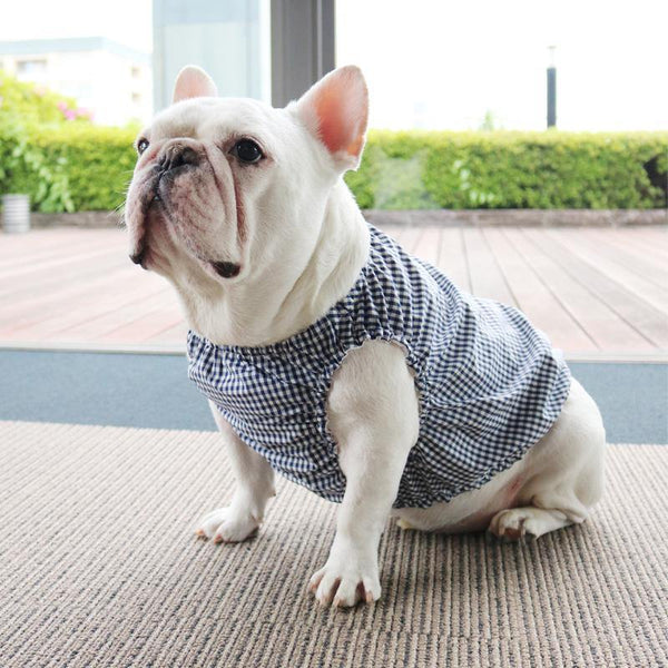 スモック -チェックネイビー- - #andCharlie# - #アンドチャーリー#- #フレンチブルドッグ#- #フレブル#