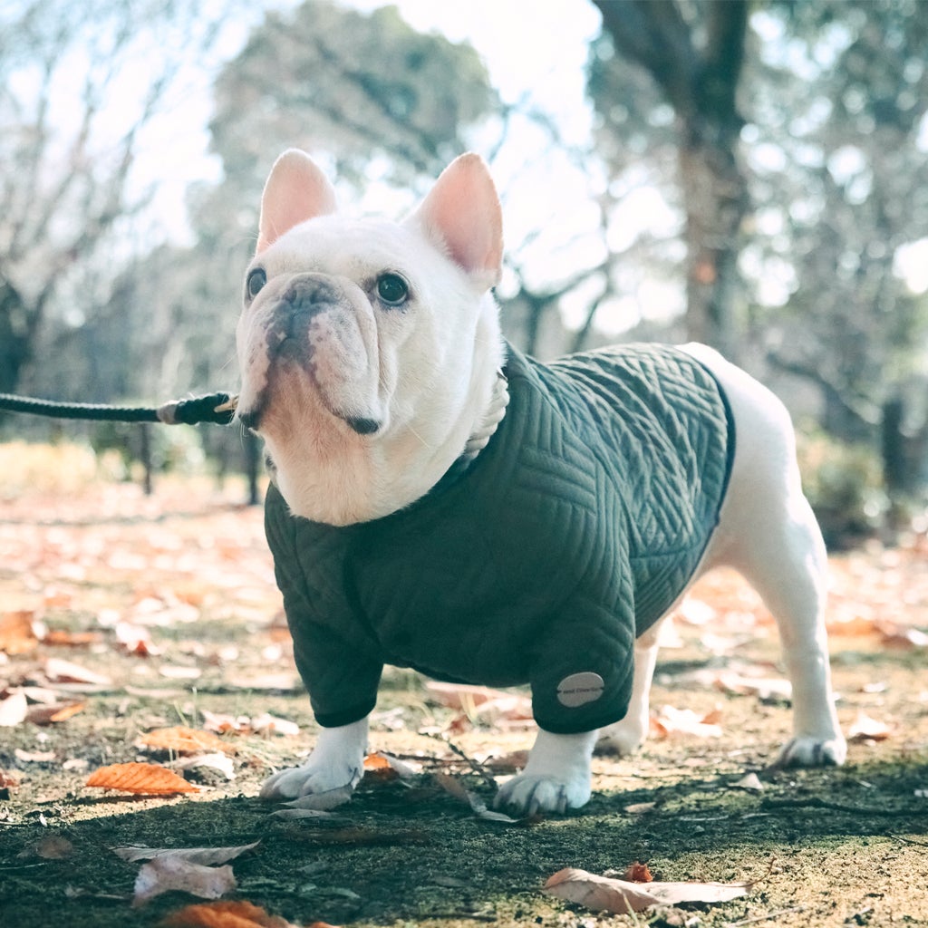 フレンチブルドッグ・ブルドッグの洋服通販の専門店 | andCharlie