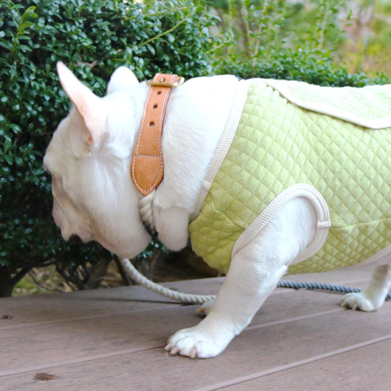 フレンチブルドッグ・ブルドッグの洋服通販の専門店 | andCharlie