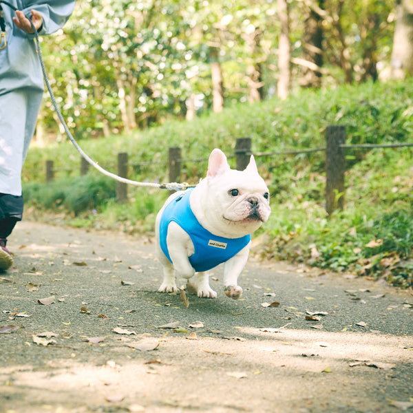 クールベスト -ブルー- - #andCharlie# - #アンドチャーリー#- #フレンチブルドッグ#- #フレブル#