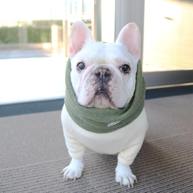 フレンチブルドッグ・ブルドッグの洋服通販の専門店 | andCharlie