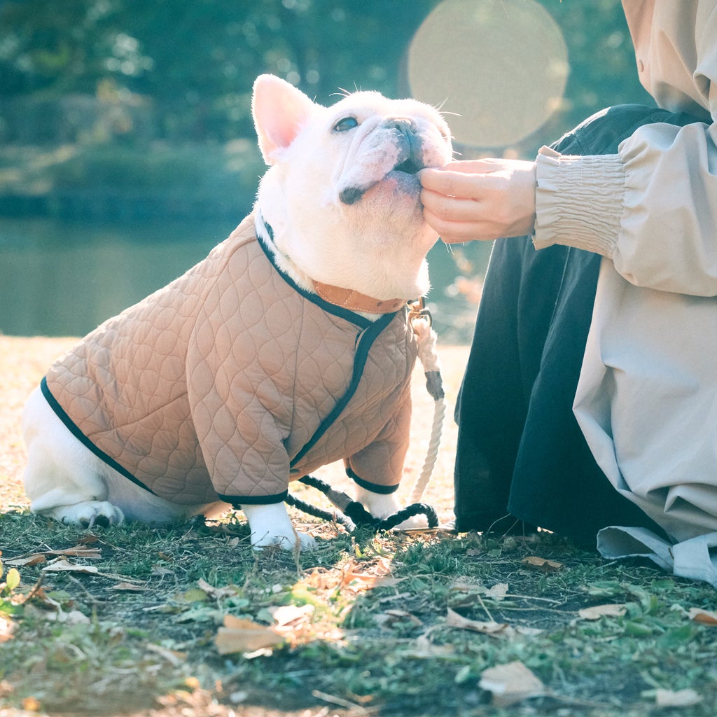 品質満点 フレブル服 ハンドメイド かんこたん 犬用品 - dressland.co.in