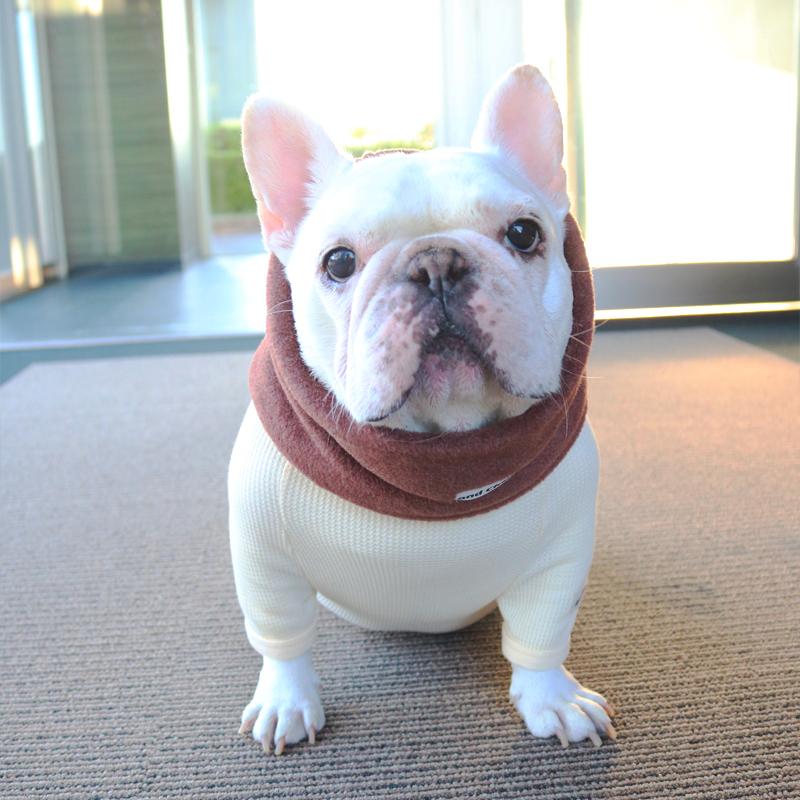 フレンチブルドッグ・ブルドッグの洋服通販の専門店 | andCharlie