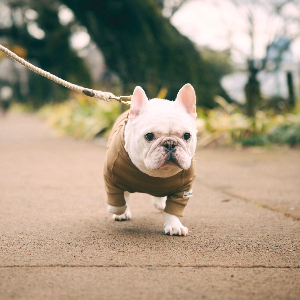 andcharlie-825343_1200x1200.