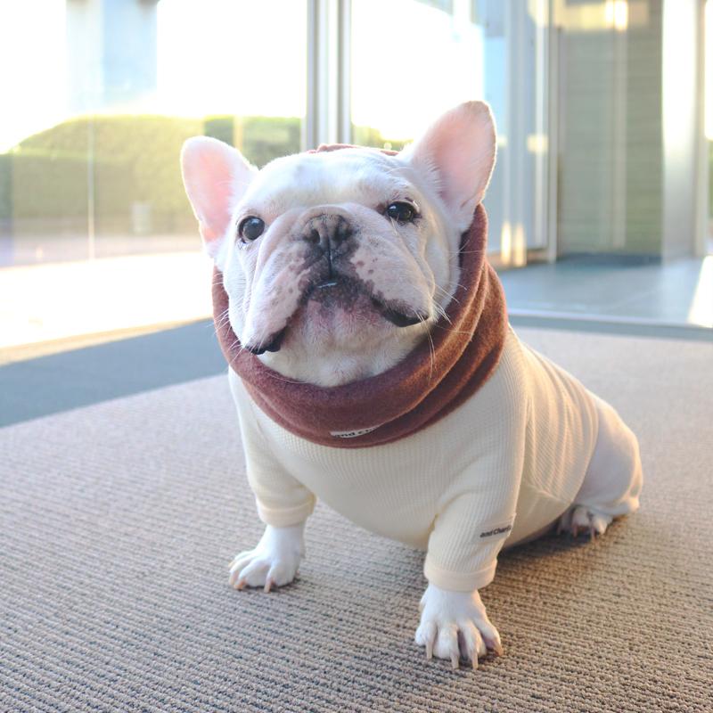 フレンチブルドッグ・ブルドッグの洋服通販の専門店 | andCharlie