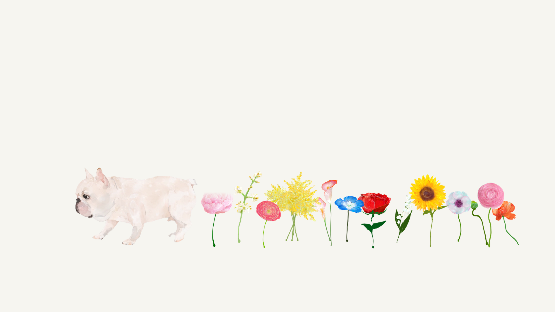 チャーリーが歩いた後に咲く花